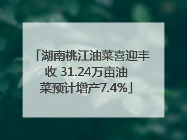 湖南桃江油菜喜迎丰收 31.24万亩油菜预计增产7.4%