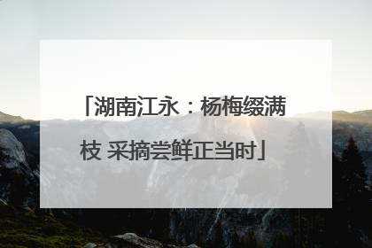 湖南江永：杨梅缀满枝 采摘尝鲜正当时