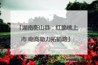 湖南衡山县：红脆桃上市 电商助力拓销路