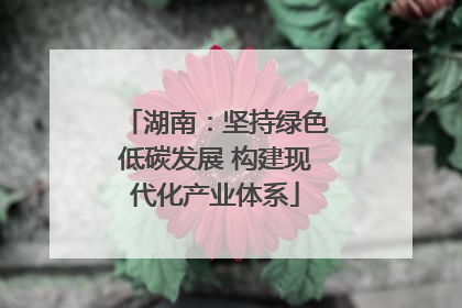 湖南：坚持绿色低碳发展 构建现代化产业体系