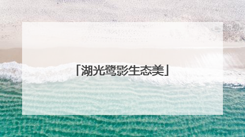 湖光鹭影生态美