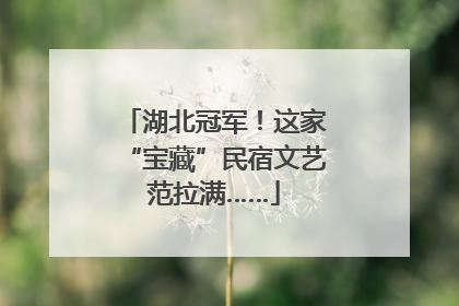 湖北冠军！这家“宝藏”民宿文艺范拉满……