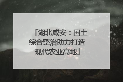 湖北咸安：国土综合整治助力打造现代农业高地