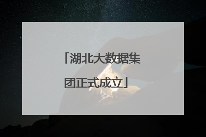 湖北大数据集团正式成立