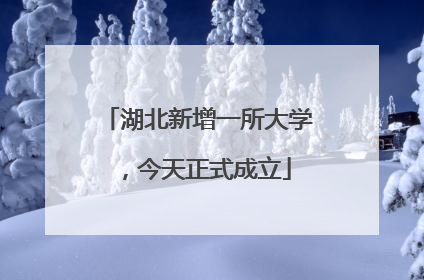 湖北新增一所大学，今天正式成立