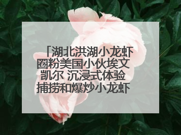 湖北洪湖小龙虾圈粉美国小伙埃文凯尔 沉浸式体验捕捞和爆炒小龙虾 最爱麻辣味