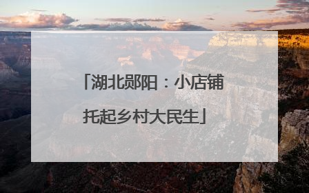 湖北郧阳：小店铺托起乡村大民生