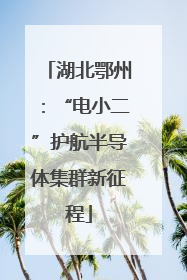 湖北鄂州：“电小二”护航半导体集群新征程