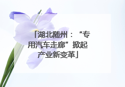 湖北随州：“专用汽车走廊”掀起产业新变革