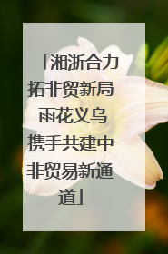 湘浙合力拓非贸新局 雨花义乌携手共建中非贸易新通道