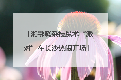 湘鄂赣杂技魔术“派对”在长沙热闹开场