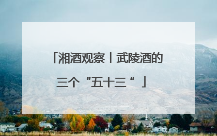 湘酒观察丨武陵酒的三个“五十三 ”