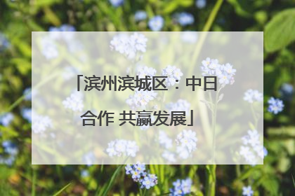 滨州滨城区：中日合作 共赢发展