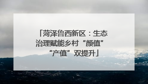 菏泽鲁西新区：生态治理赋能乡村“颜值”“产值”双提升
