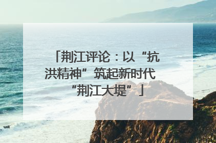 荆江评论：以“抗洪精神”筑起新时代“荆江大堤”