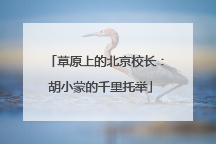 草原上的北京校长：胡小蒙的千里托举