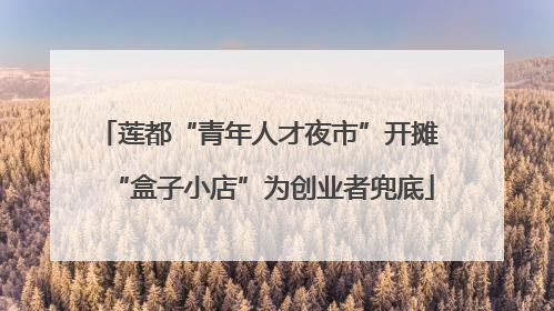 莲都“青年人才夜市”开摊 “盒子小店”为创业者兜底