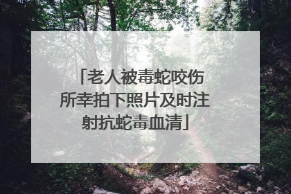 老人被毒蛇咬伤 所幸拍下照片及时注射抗蛇毒血清