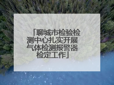 聊城市检验检测中心扎实开展气体检测报警器检定工作