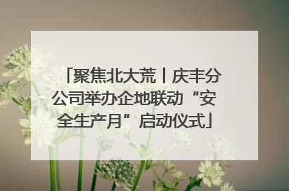 聚焦北大荒丨庆丰分公司举办企地联动“安全生产月”启动仪式