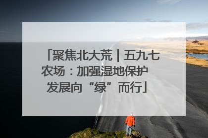 聚焦北大荒｜五九七农场：加强湿地保护 发展向“绿”而行