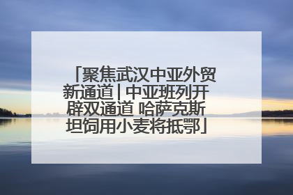 聚焦武汉中亚外贸新通道│中亚班列开辟双通道 哈萨克斯坦饲用小麦将抵鄂
