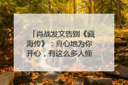 肖战发文告别《藏海传》：真心地为你开心，有这么多人懂你，导演回应“是否有第二季”
