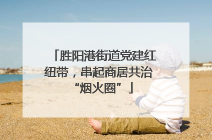 胜阳港街道党建红纽带，串起商居共治 “烟火圈”