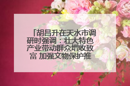 胡昌升在天水市调研时强调：壮大特色产业带动群众增收致富 加强文物保护推动文化创新发展