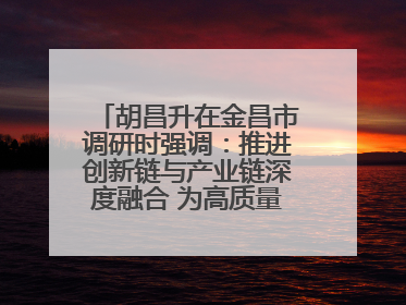 胡昌升在金昌市调研时强调：推进创新链与产业链深度融合 为高质量发展塑造新动能新优势