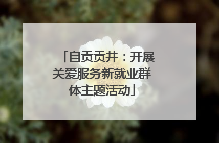 自贡贡井：开展关爱服务新就业群体主题活动