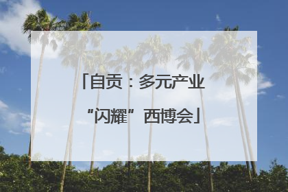 自贡：多元产业“闪耀”西博会