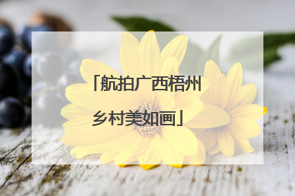 航拍广西梧州乡村美如画