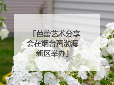 芭蕾艺术分享会在烟台黄渤海新区举办