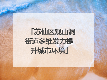 苏仙区观山洞街道多维发力提升城市环境