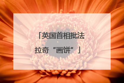 英国首相批法拉奇“画饼”