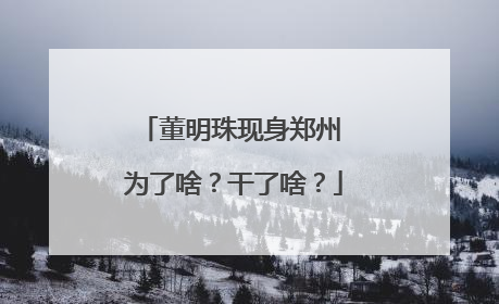 董明珠现身郑州 为了啥？干了啥？