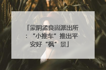蒙阴孟良崮派出所：“小推车”推出平安好“枫”景