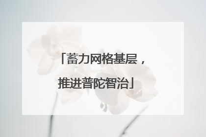 蓄力网格基层，推进普陀智治
