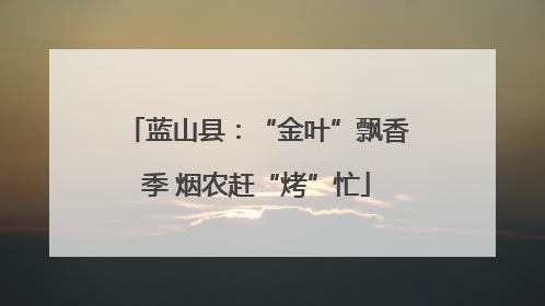 蓝山县：“金叶”飘香季 烟农赶“烤”忙