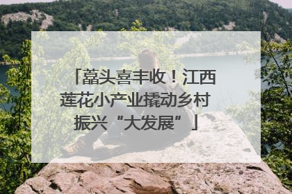 藠头喜丰收！江西莲花小产业撬动乡村振兴“大发展”