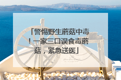 警惕野生蘑菇中毒！一家三口误食毒蘑菇，紧急送医