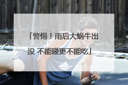 警惕！雨后大蜗牛出没 不能碰更不能吃