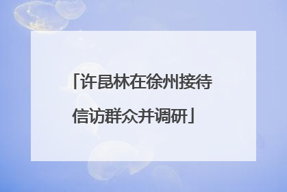 许昆林在徐州接待信访群众并调研