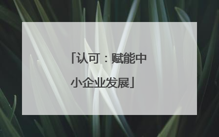 认可：赋能中小企业发展