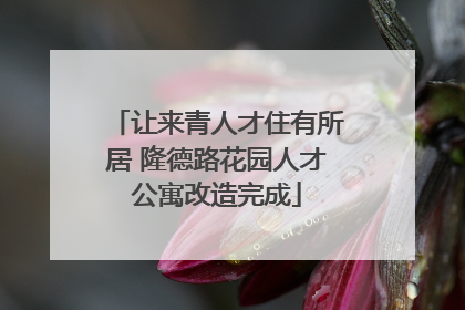 让来青人才住有所居 隆德路花园人才公寓改造完成