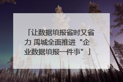 让数据填报省时又省力 禹城全面推进“企业数据填报一件事”