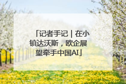 记者手记｜在小镇达沃斯，欧企展望牵手中国AI
