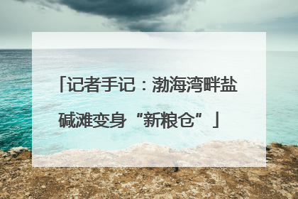 记者手记：渤海湾畔盐碱滩变身“新粮仓”