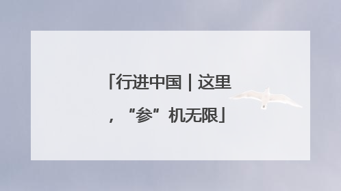 行进中国｜这里，“参”机无限